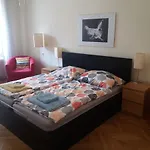 Geräumige zentrumsnahe Altbauwohnung